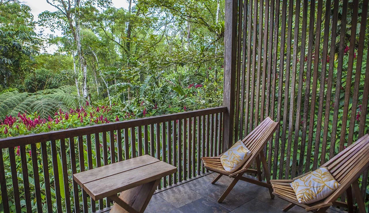 Suites y Deluxe: Lujo y Exclusividad en la Selva Amazónica