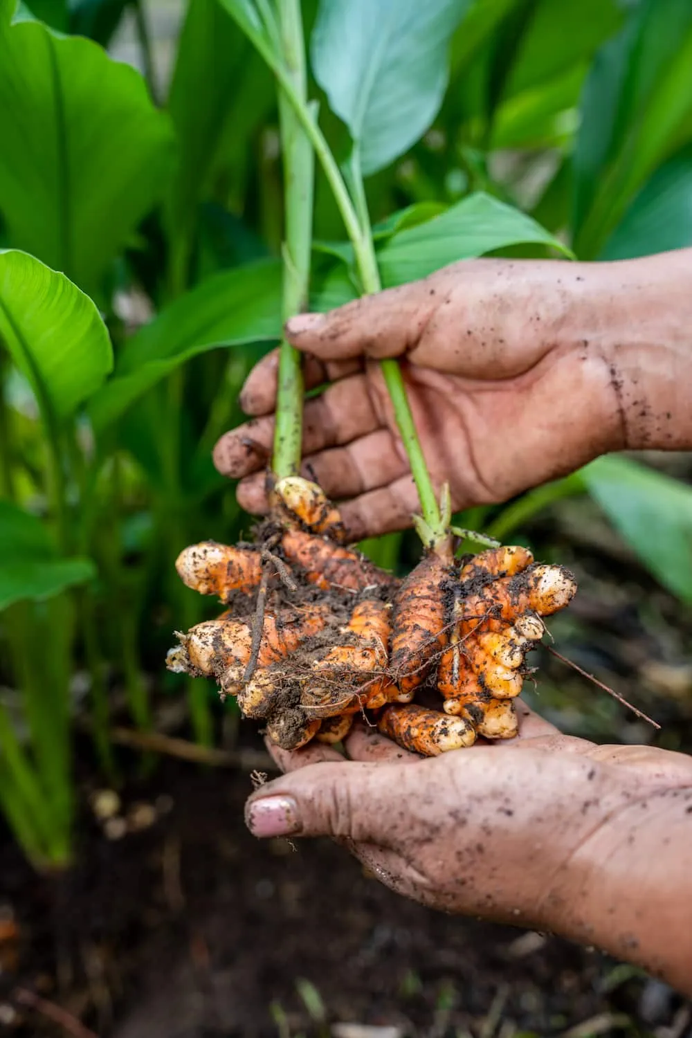 Cocina ética y sostenible en el corazón de la Amazonía
