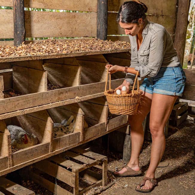 women getting organic eggs in the amazon