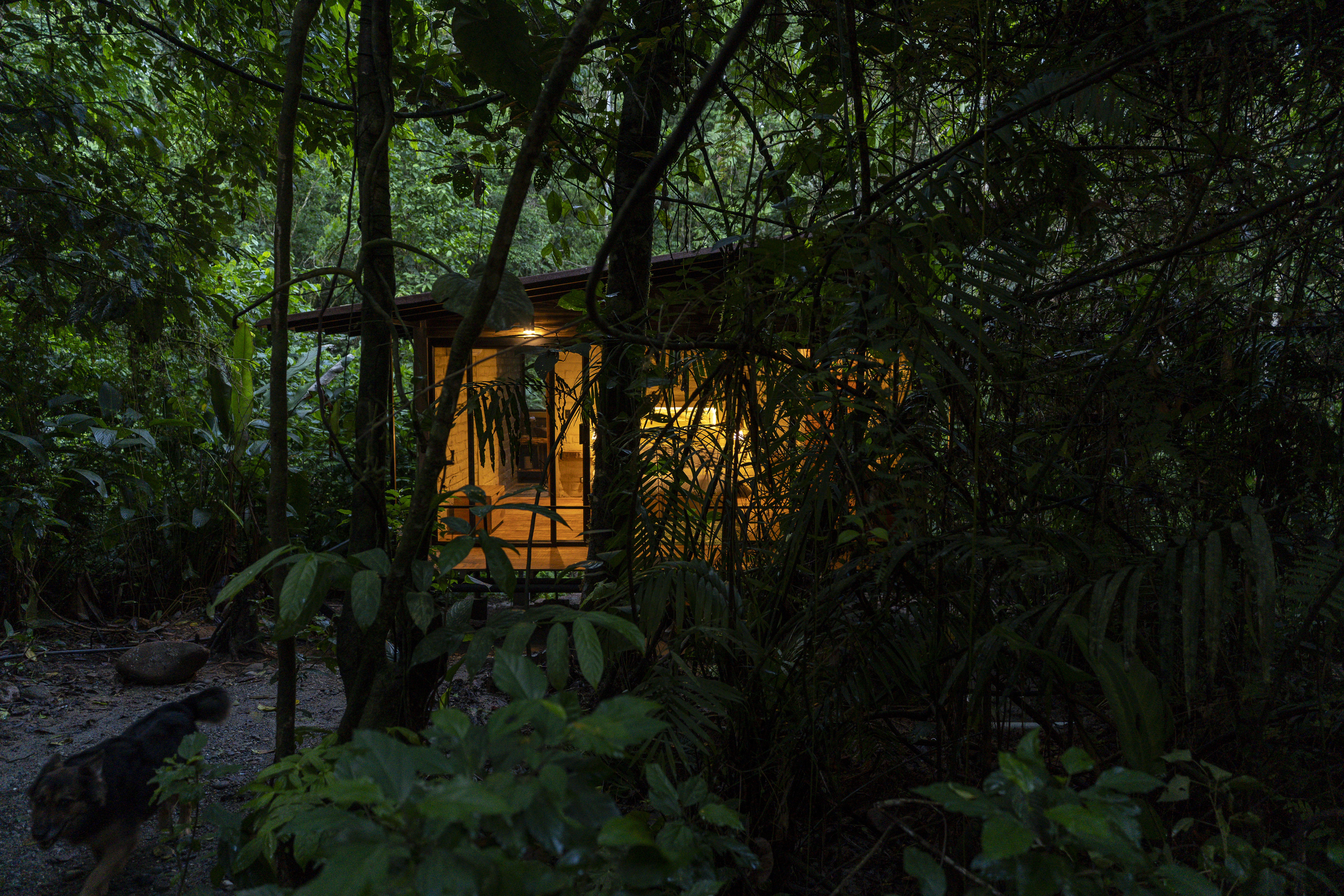 Estancias largas sanación adicciones acompañamiento integral selva